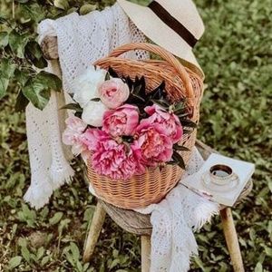 Meet your Posher, Yrvane